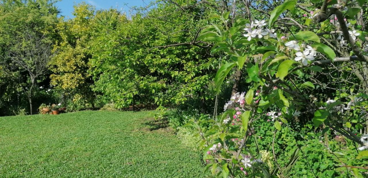 Casa Landim Villa Dış mekan fotoğraf