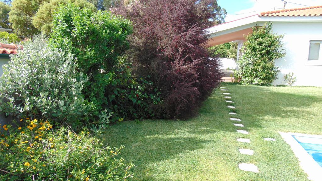 Casa Landim Villa Dış mekan fotoğraf