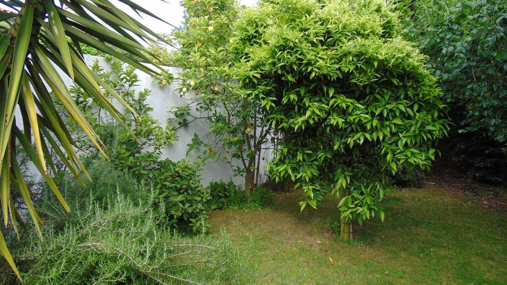 Casa Landim Villa Dış mekan fotoğraf